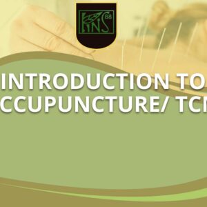Introduction to Acupuncture/TCM